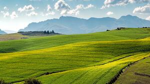 agriculture-countryside-crop-cropland-259280_e3f0b