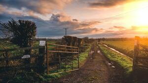 brown-farm-gate-and-green-grass-field-1094544_faa4a