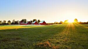 green-grass-field-near-houses-1198507_8d8bd