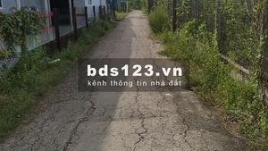 a86db6b4833d7d63242c_1604737471.jpg