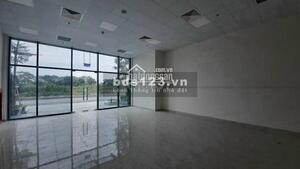 z2419070213019-6099bb5cee64a05c3904958894aca706-copy_1617763074.jpg