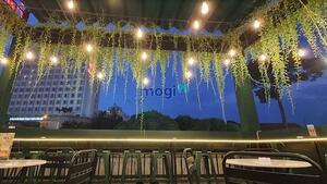 Hình ảnh Góc 2 MT Hoàng Văn Thụ Q.PN (7x17), 2 tầng chỉ 65tr!!