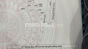 25de1c4b3f8d4bed89379fcc664fbe40.jpg