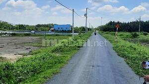 07946685069f46178efb59120af1b8d8.jpg