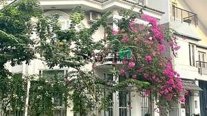 Hình ảnh Cho Thuê Biệt Thự An Phú - Góc 2 Mặt Tiền - Giá 50 Triệu