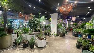 Hình ảnh Shophoue Sala cho thuê sàn lầu trệt 220m2, giá 80 triệu/ tháng.