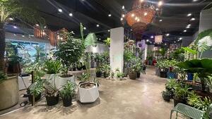 Hình ảnh Shophoue Sala cho thuê sàn lầu trệt 220m2, giá 80 triệu/ tháng.
