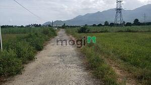 Hình ảnh Cần bán lô đất Thôn Quảng Hòa , xã Cam Thành Nam , Tp Cam Ranh,KH