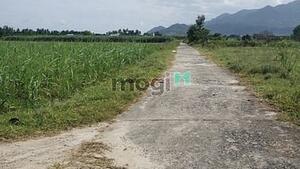 Hình ảnh Cần bán lô đất Thôn Quảng Hòa , xã Cam Thành Nam , Tp Cam Ranh,KH