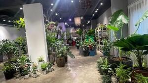 Hình ảnh Shophoue Sala cho thuê sàn lầu trệt 220m2, giá 80 triệu/ tháng.