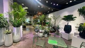 Hình ảnh Shophoue Sala cho thuê sàn lầu trệt 220m2, giá 80 triệu/ tháng.