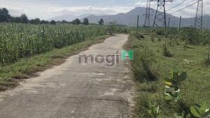 Hình ảnh Cần bán lô đất Thôn Quảng Hòa , xã Cam Thành Nam , Tp Cam Ranh,KH