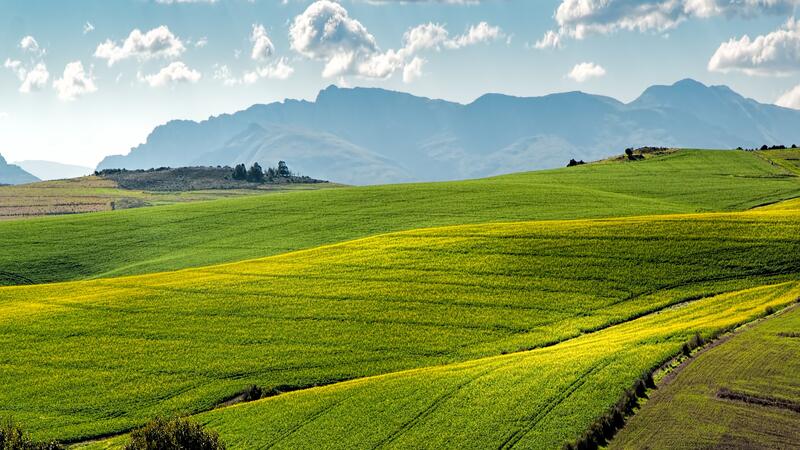 agriculture-countryside-crop-cropland-259280_e3f0b