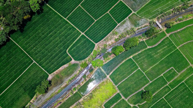 bird-s-eye-view-of-river-in-middle-of-green-fields-1483880_5b506