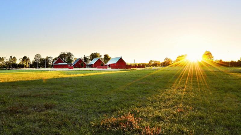 green-grass-field-near-houses-1198507_8d8bd