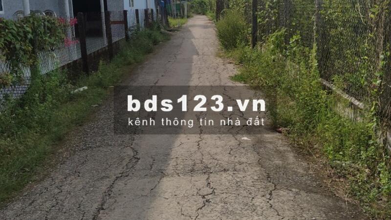 a86db6b4833d7d63242c_1604737471.jpg