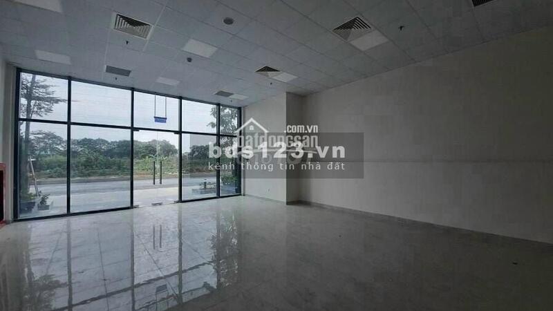 z2419070213019-6099bb5cee64a05c3904958894aca706-copy_1617763074.jpg