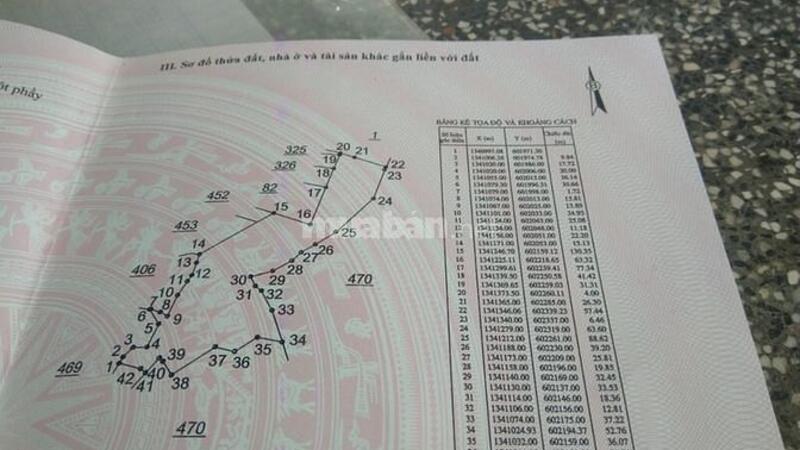 3d9a33ba8bf740298dac1dc8184c66bb.jpg