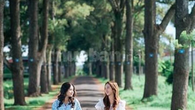 cd4ee36e857e4dac8e9fd65ee6b8c7ee.jpg
