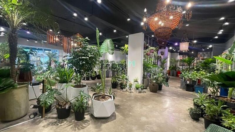 Hình ảnh Shophoue Sala cho thuê sàn lầu trệt 220m2, giá 80 triệu/ tháng.