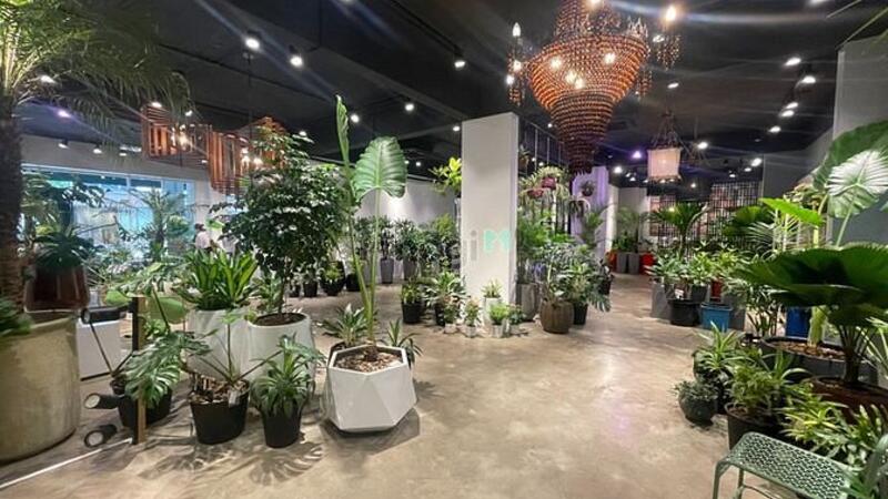 Hình ảnh Shophoue Sala cho thuê sàn lầu trệt 220m2, giá 80 triệu/ tháng.