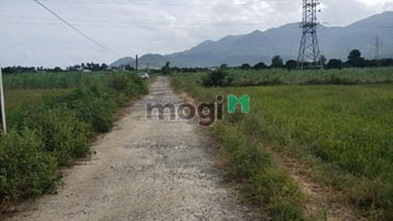 Hình ảnh Cần bán  lô đất  Thôn Quảng Hòa , xã Cam Thành Nam , Tp Cam Ranh,KH