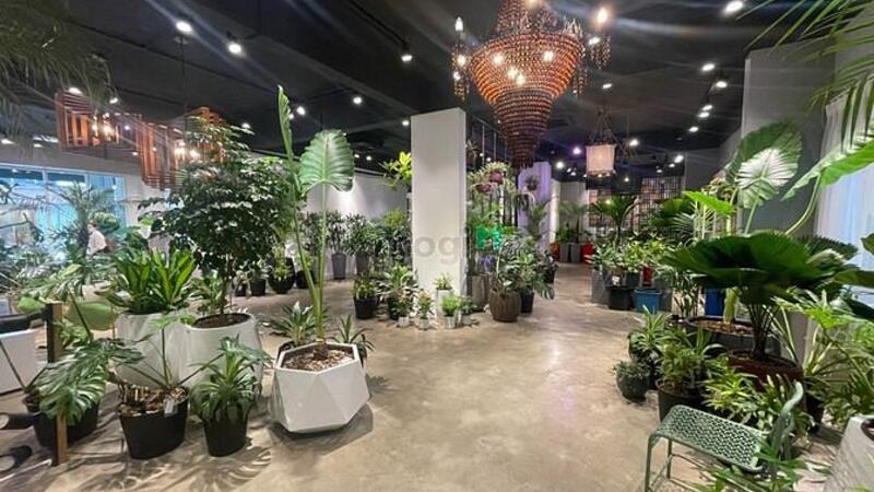 Hình ảnh Shophoue Sala cho thuê sàn lầu trệt 220m2, giá 80 triệu/ tháng.