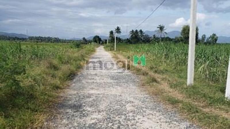 Hình ảnh Cần bán  lô đất  Thôn Quảng Hòa , xã Cam Thành Nam , Tp Cam Ranh,KH