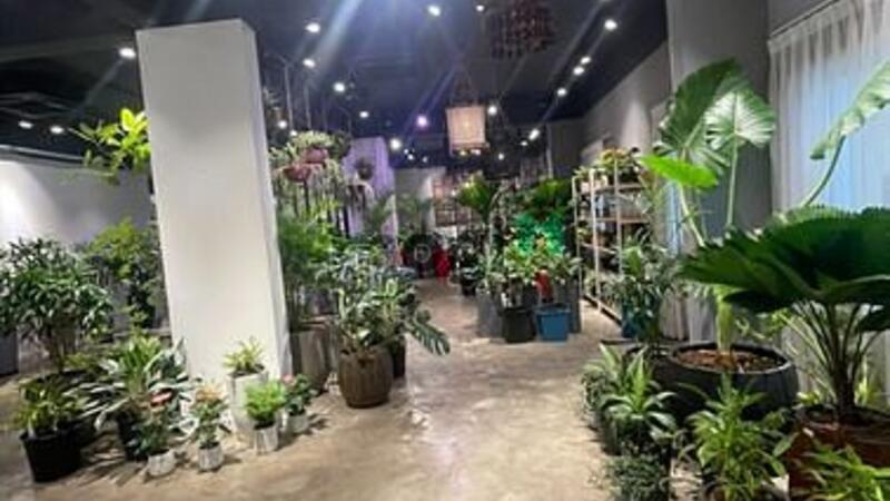 Hình ảnh Shophoue Sala cho thuê sàn lầu trệt 220m2, giá 80 triệu/ tháng.