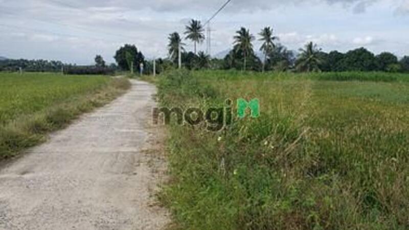 Hình ảnh Cần bán  lô đất  Thôn Quảng Hòa , xã Cam Thành Nam , Tp Cam Ranh,KH
