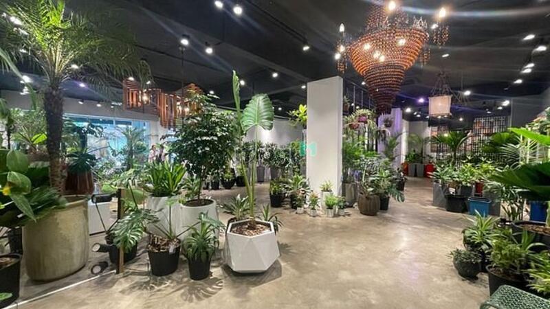 Hình ảnh Shophoue Sala cho thuê sàn lầu trệt 220m2, giá 80 triệu/ tháng.