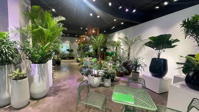 Hình ảnh Shophoue Sala cho thuê sàn lầu trệt 220m2, giá 80 triệu/ tháng.