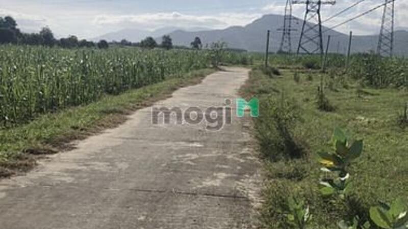 Hình ảnh Cần bán  lô đất  Thôn Quảng Hòa , xã Cam Thành Nam , Tp Cam Ranh,KH